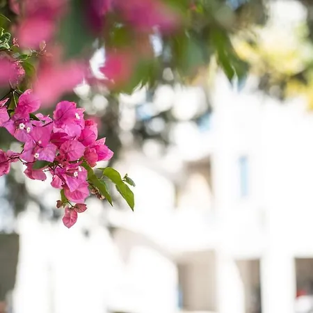 Beachfront Mediterranean Escape 3bd Sea View